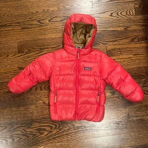Patagonia Hi-Loft Down Sweater Hoody - 5T